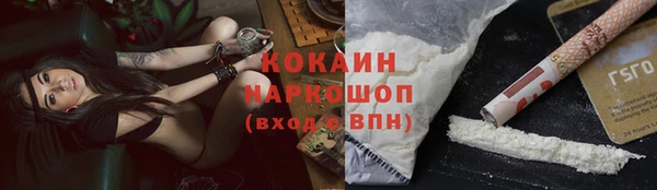 спайс Арсеньев